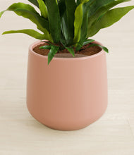 Load image into Gallery viewer, Calm Rose stand:all