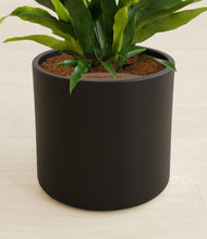 Load image into Gallery viewer, Black stand:all