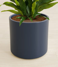 Load image into Gallery viewer, Deep Navy stand:all