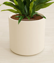 Load image into Gallery viewer, Cream stand:all