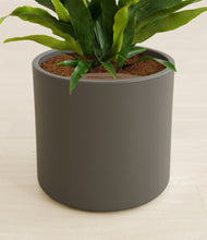 Load image into Gallery viewer, Dark Olive stand:all