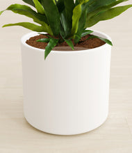 Load image into Gallery viewer, White stand:all