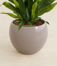 Load image into Gallery viewer, Winter Clouds stand:all