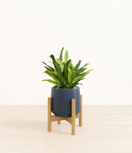 Load image into Gallery viewer, Deep Navy stand:bamboo