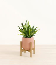 Load image into Gallery viewer, Calm Rose stand:bamboo