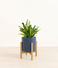 Load image into Gallery viewer, Deep Navy stand:bamboo