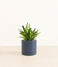 Load image into Gallery viewer, Deep Navy*****Profile