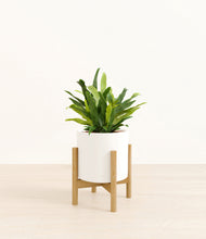 Load image into Gallery viewer, White stand:bamboo