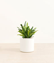 Load image into Gallery viewer, White*****Profile