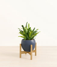 Load image into Gallery viewer, Deep Navy stand:bamboo