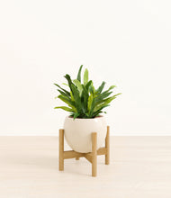 Load image into Gallery viewer, Shiny EggWhite stand:bamboo