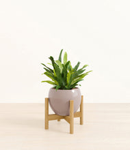 Load image into Gallery viewer, Winter Clouds stand:bamboo