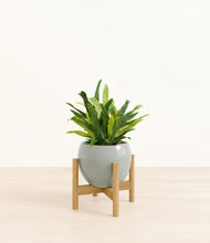 Load image into Gallery viewer, Deep Ocean stand:bamboo