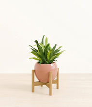 Load image into Gallery viewer, Calm Rose stand:bamboo