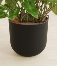 Load image into Gallery viewer, Stone Black stand:all