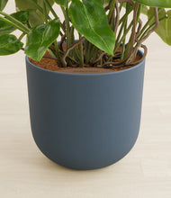 Load image into Gallery viewer, Iron Gray stand:all