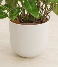 Load image into Gallery viewer, Natural Bamboo stand:all