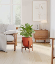 Load image into Gallery viewer, Earth Red stand:walnut