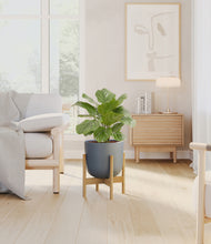 Load image into Gallery viewer, Iron Gray stand:bamboo