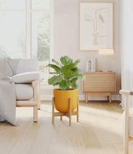 Load image into Gallery viewer, Sunset Orange stand:bamboo