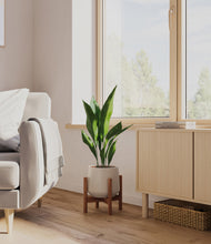 Load image into Gallery viewer, Eternal Gray stand:walnut