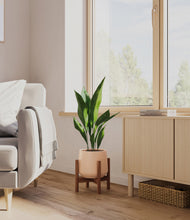 Load image into Gallery viewer, Gentle Pink stand:walnut