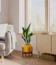 Load image into Gallery viewer, Mustard stand:walnut