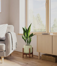 Load image into Gallery viewer, Turquoise stand:walnut