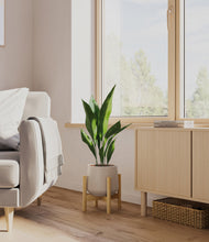 Load image into Gallery viewer, Eternal Gray stand:bamboo