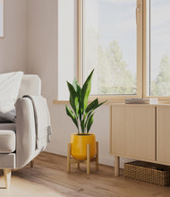 Load image into Gallery viewer, Mustard stand:bamboo