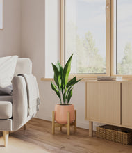 Load image into Gallery viewer, Calm Rose stand:bamboo