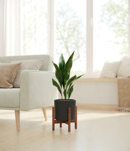 Load image into Gallery viewer, Black stand:walnut