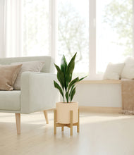 Load image into Gallery viewer, Cream stand:bamboo