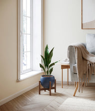 Load image into Gallery viewer, Deep Navy stand:walnut