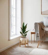 Load image into Gallery viewer, Shiny EggWhite stand:bamboo