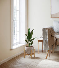 Load image into Gallery viewer, Winter Clouds stand:walnut