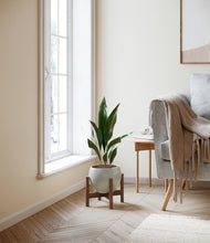 Load image into Gallery viewer, Deep Ocean stand:walnut