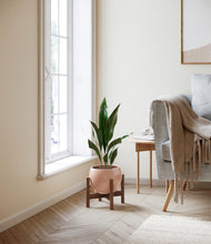 Load image into Gallery viewer, Calm Rose stand:walnut