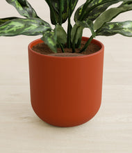 Load image into Gallery viewer, Earth Red stand:all