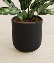 Load image into Gallery viewer, Iron Gray stand:all