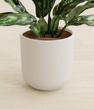 Load image into Gallery viewer, Natural Bamboo stand:all