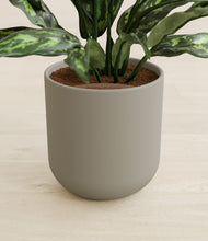 Load image into Gallery viewer, Sage Green stand:all