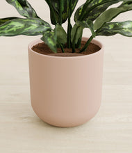 Load image into Gallery viewer, Sandy Pink stand:all