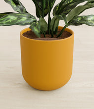 Load image into Gallery viewer, Sunset Orange stand:all