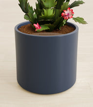 Load image into Gallery viewer, Deep Navy stand:all