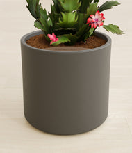 Load image into Gallery viewer, Dark Olive stand:all