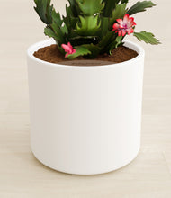 Load image into Gallery viewer, White stand:all