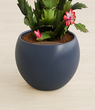 Load image into Gallery viewer, Deep Navy stand:all