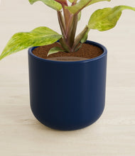 Load image into Gallery viewer, Twilight Blue stand:all