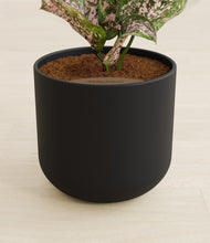 Load image into Gallery viewer, Stone Black stand:all